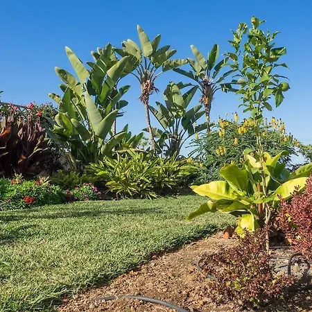 Вилла Casa Vina: A Spectacular Away From It *