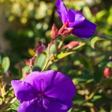 Casa Vina: A Spectacular Away From It Вилла *